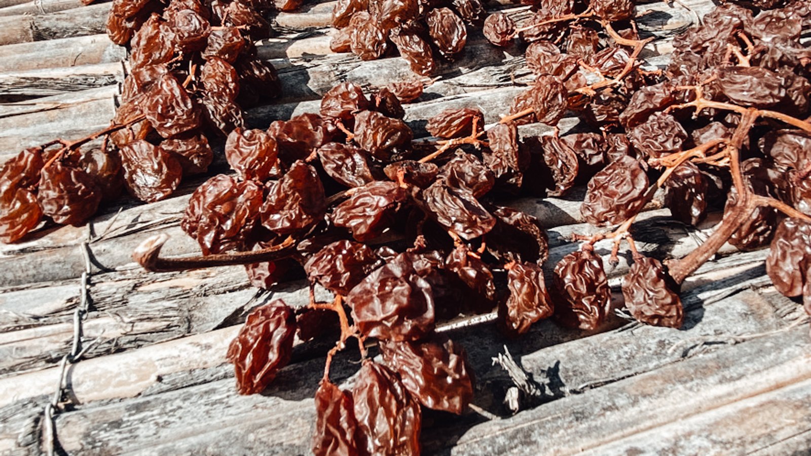 Viva la Vida Buena | Grape picking Lliber Vall de Pop Jalon Valley | Costa Blanca